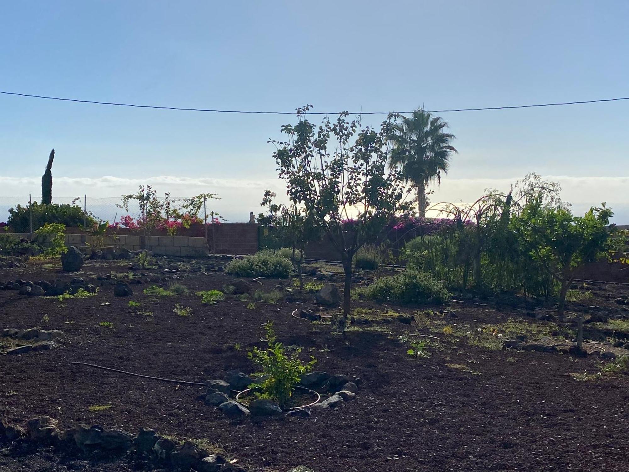 Finca Arcoiris Tenerife Vv Villa Guia de Isora  Exterior photo