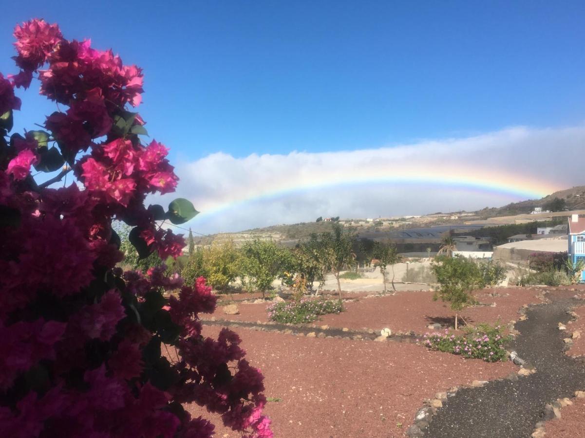 Finca Arcoiris Tenerife Vv Villa Guia de Isora  Exterior photo